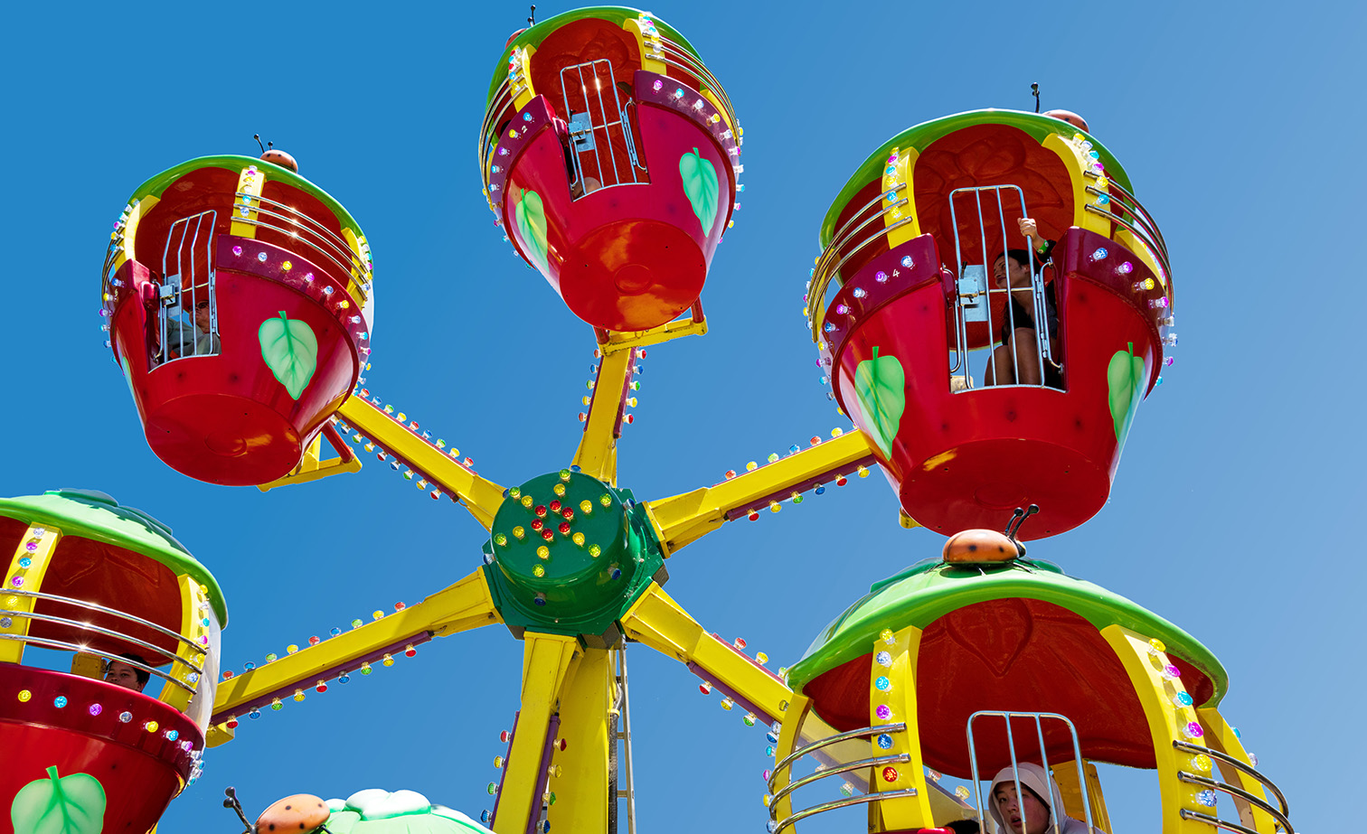 Funfields Theme Park Berry Ferris Wheel 3