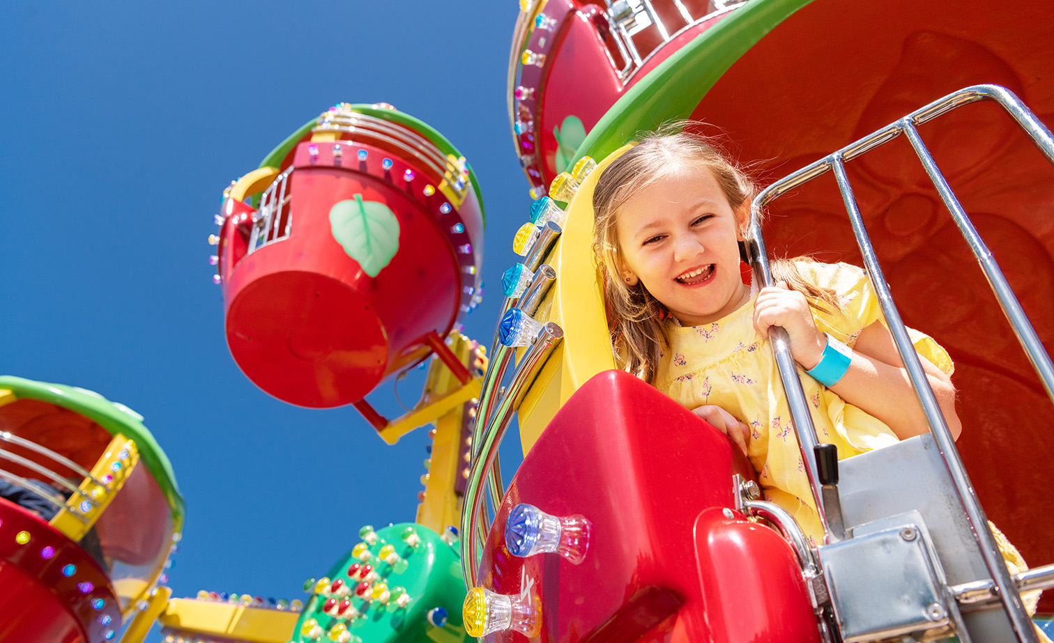 Funfields Theme Park Berry Ferris Wheel Hero