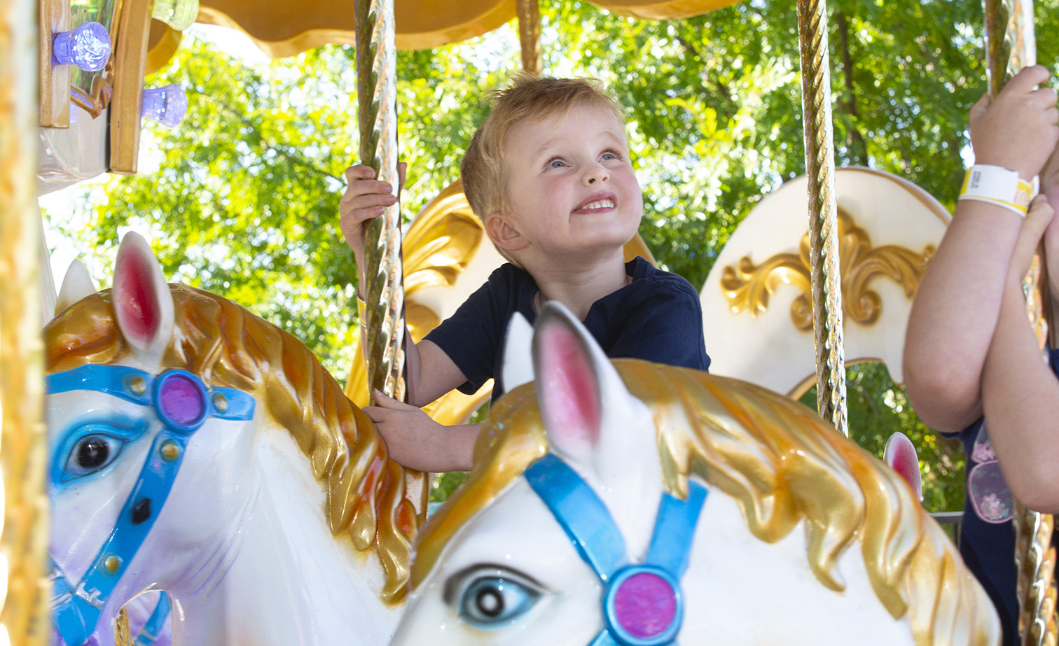 Funfields Theme Park Pony Carousel Kids Rides 3