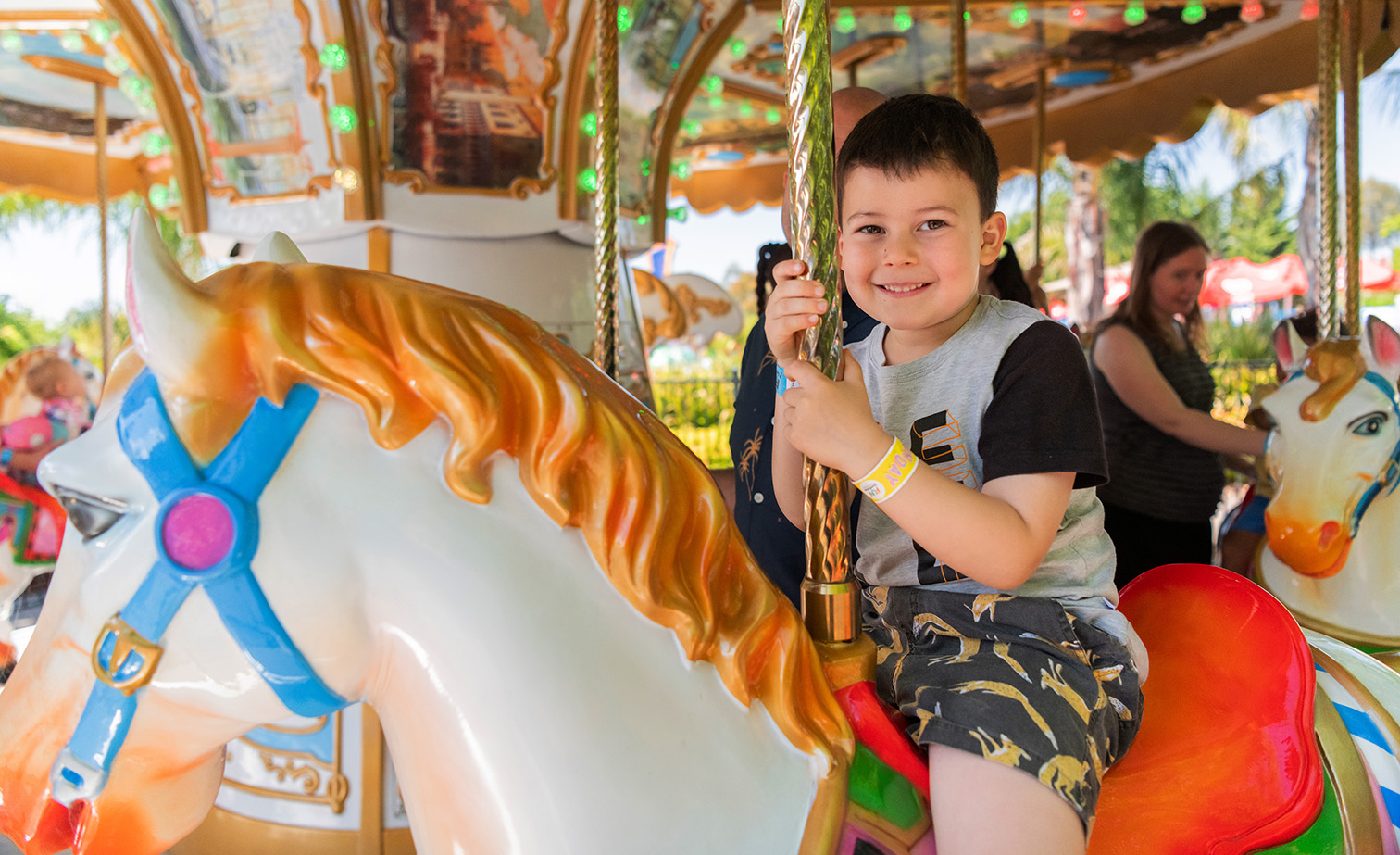 Funfields Theme Park Pony Carousel Kids Rides 5